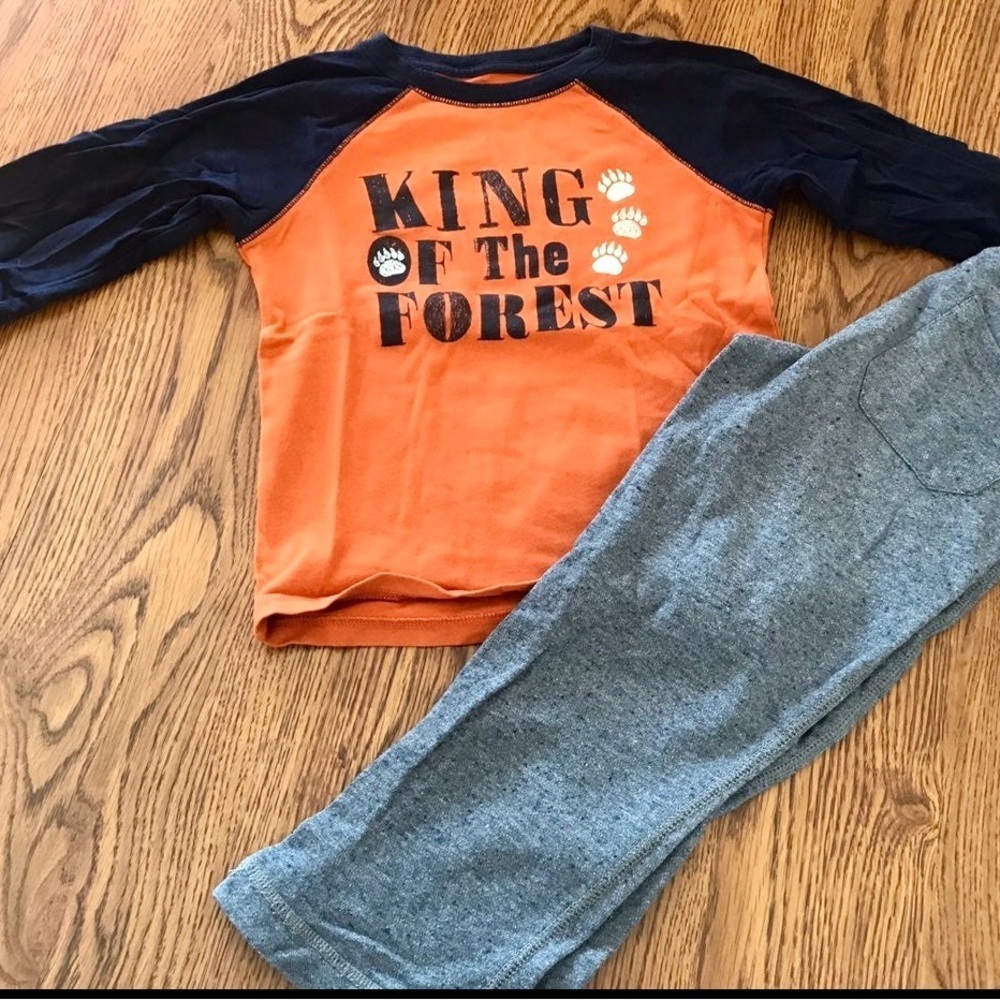 Gymboree Outfit